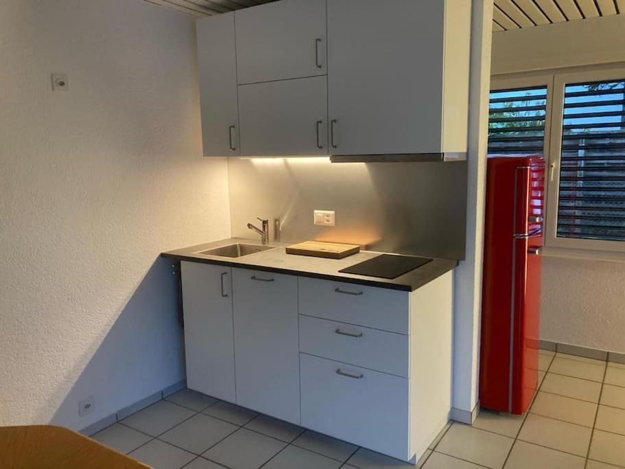 2- Zimmerwohnung-duplex Apartment Lohn-Ammannsegg